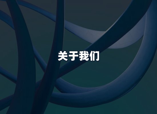 关于我们